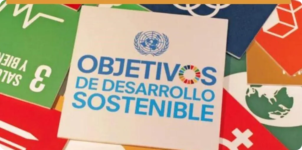 Image Placeholder (8)