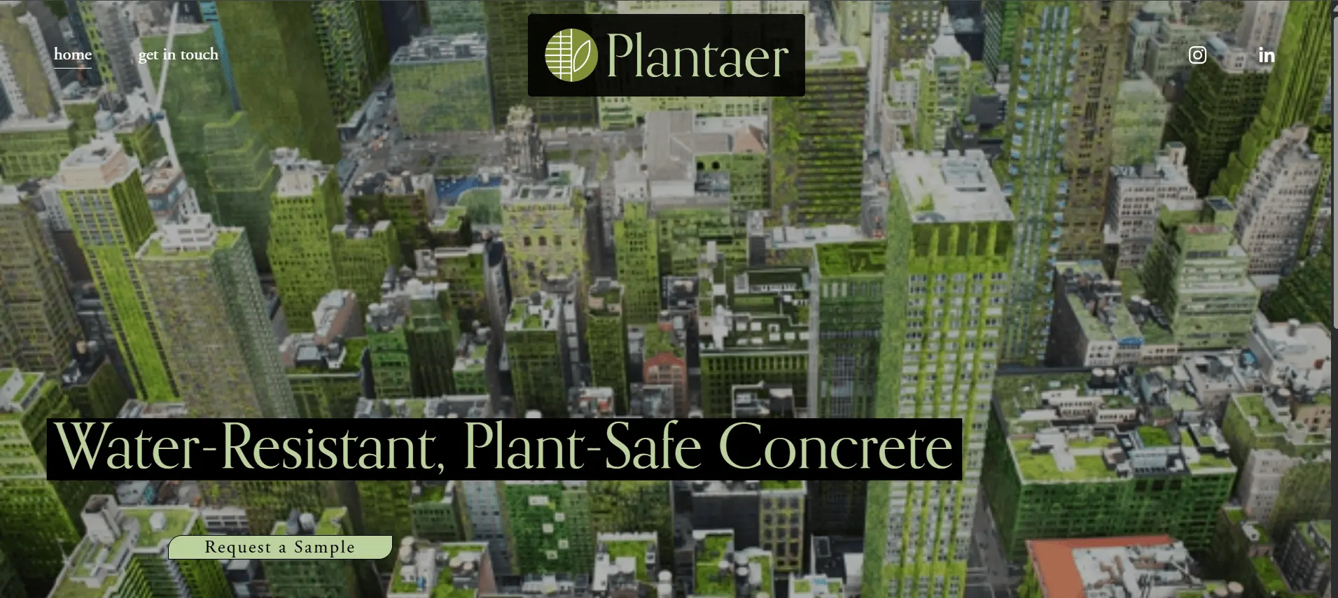 Plantaer noticia